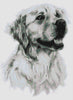 Amber Labrador Cross Stitch Pattern