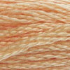 DMC Stranded Floss Numbers 3831 to 3866