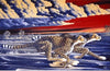 Cheetah Sunset Cross Stitch Pattern