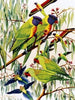 Rainbow Larakeets Cross Stitch Pattern