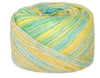 Bliss 10ply Yarn - 2026