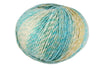 Sierra Chunky Yarn - 2026