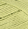 Cotton Blend 8ply Yarn - 2026