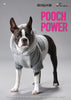 Pooch Power Dog Coat Knitting Pattern Book